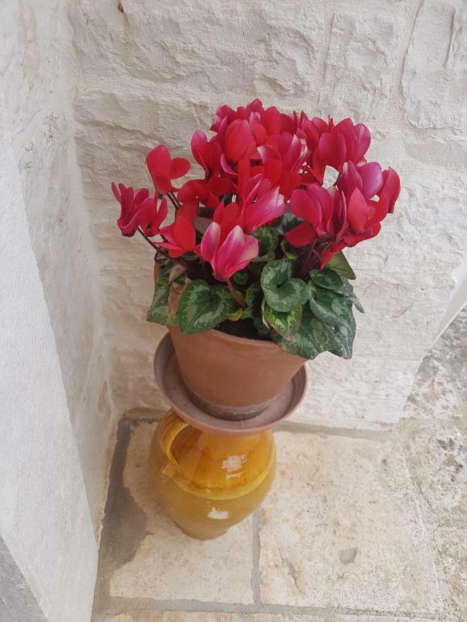 Dimore E Trulli Dell'Aia Antica Villa อัลเบโรเบลโล ภายนอก รูปภาพ